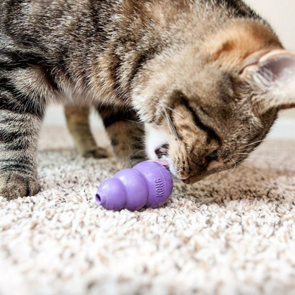 Kong Kitty Kong - Imagen 2