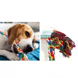 Pawise Perros Cuerda Colorida 91 cms