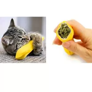 Plátano con Hierba Gatera Pawise